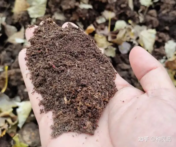 家庭养花必备肥料指南：羊粪鸡粪蚯蚓肥饼肥草木灰海藻肥全解析-绿源新宇生物有机肥官网