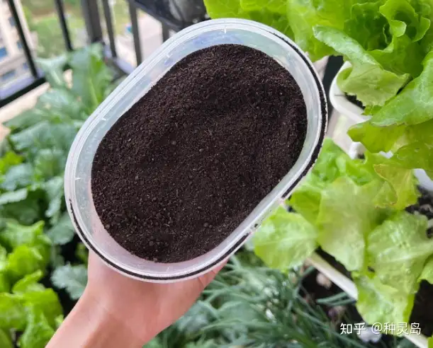 家庭养花必备肥料指南：羊粪鸡粪蚯蚓肥饼肥草木灰海藻肥全解析-绿源新宇生物有机肥官网