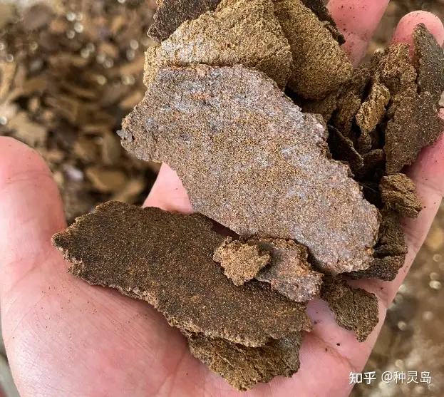 家庭养花必备肥料指南：羊粪鸡粪蚯蚓肥饼肥草木灰海藻肥全解析-绿源新宇生物有机肥官网