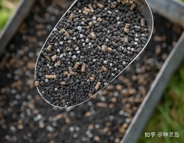 家庭养花必备肥料指南：羊粪鸡粪蚯蚓肥饼肥草木灰海藻肥全解析-绿源新宇生物有机肥官网