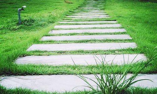 榆林市构建现代饲草产业体系 提升畜牧业发展水平-绿源新宇生物