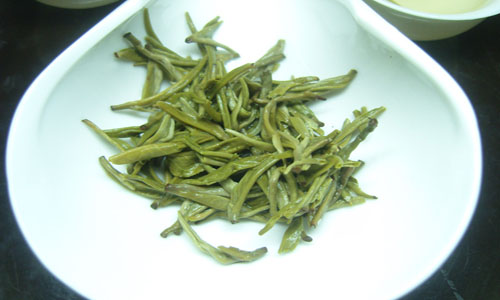 凌云白毫茶成为茶农绿色银行，带动地方经济发展-绿源新宇生物有