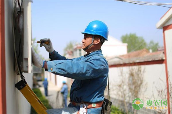 凌云白毫茶扩大种植规模解决供不应求难题-绿源新宇生物有机肥官网