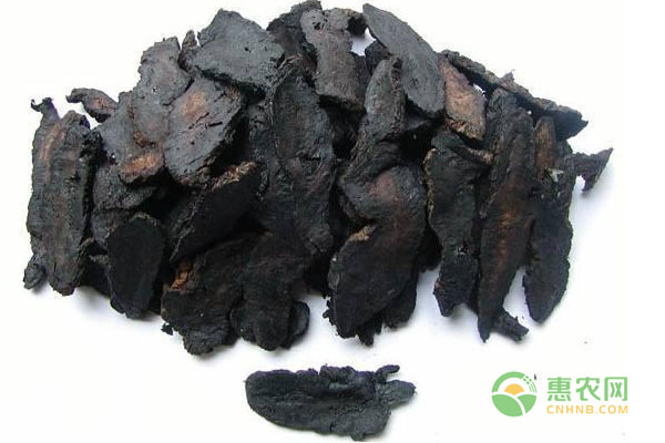 彩色小麦红薯玉米土豆大米等多彩农作物品种兴起，营养丰富前景广阔-绿源新宇生物有机肥官网