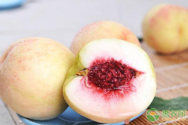 台湾休闲农业成功经验对内地发展的启示-绿源新宇生物有机肥官网