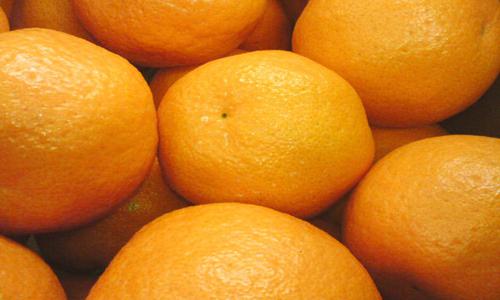 麻阳椪柑品质改革成效显著 品质提升助力果农增收-绿源新宇生物