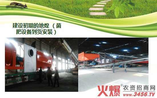 ����棰?1.jpg 帝王菌生物有机肥-地煌生物