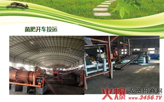 ����棰?2.jpg 帝王菌生物有机肥-地煌生物