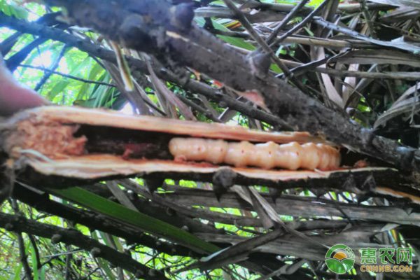 2014年一号文件聚焦生态农业 产业链布局机会解析-绿源新宇生物有机肥官网