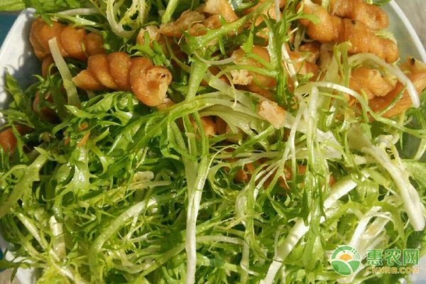 农民养羊遭遇销售难题 网络平台助力破解销路困局-绿源新宇生物有机肥官网 农民养羊遭遇销售难题 网络平台助力破解销路困局-绿源新宇生物有机肥官网