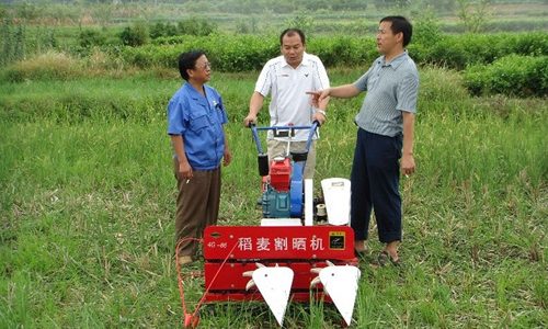 丘陵地区的割晒机