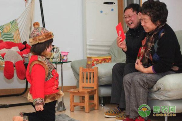 广西福建冰糖柑上市 物美价廉销售旺 广西福建冰糖柑上市 物美价廉销售旺