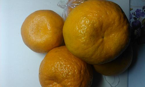 泸溪椪柑产业致富路：皮薄甜嫩成国际市场宠儿-绿源新宇生物有机