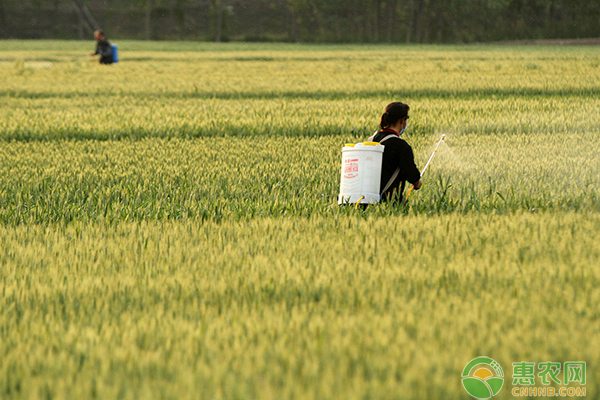 农资合作社统采割晒机助力小农户降本增效-绿源新宇生物有机肥官网 农资合作社统采割晒机助力小农户降本增效-绿源新宇生物有机肥官网