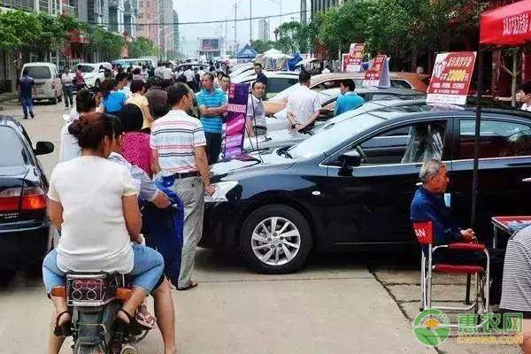 椪柑批发采购指南：如何选择优质农产品批发市场-绿源新宇生物有机肥官网