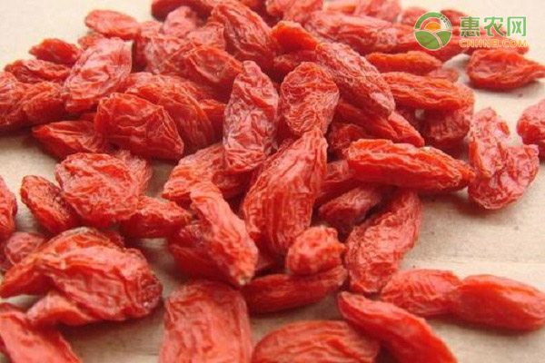 衢州椪柑经历橘灾低谷后如何实现品牌逆袭-绿源新宇生物有机肥官网