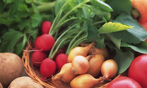 12月生猪价格预测分析及养殖建议-绿源新宇生物有机肥官网