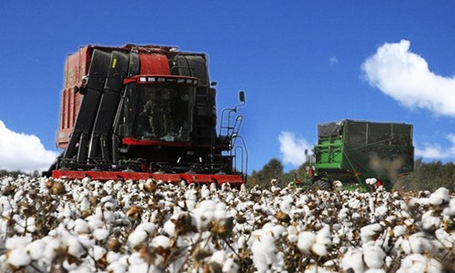 江苏大丰棉花机采技术突破，机械化采摘效率提升百倍降低成本-绿