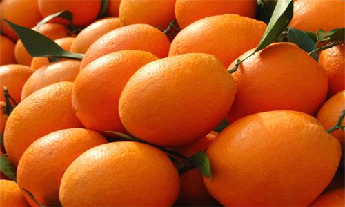 湖南麻阳冰糖柑丰收销量火爆 农民致富小柑橘大产业-绿源新宇生