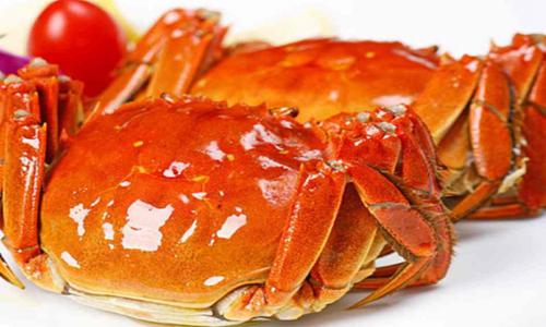 阳澄湖大闸蟹凭什么这么火？营养价值与收购渠道全解析-绿源新宇