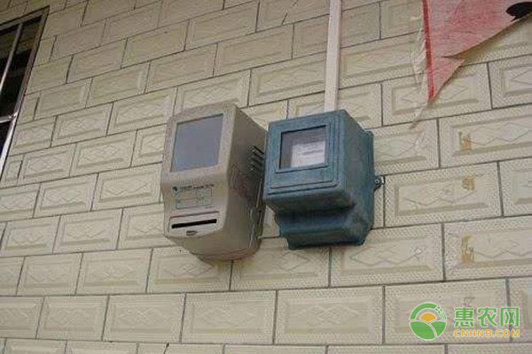 泸溪椪柑远销俄罗斯，品质赢市场政府重奖销售功臣-绿源新宇生物有机肥官网