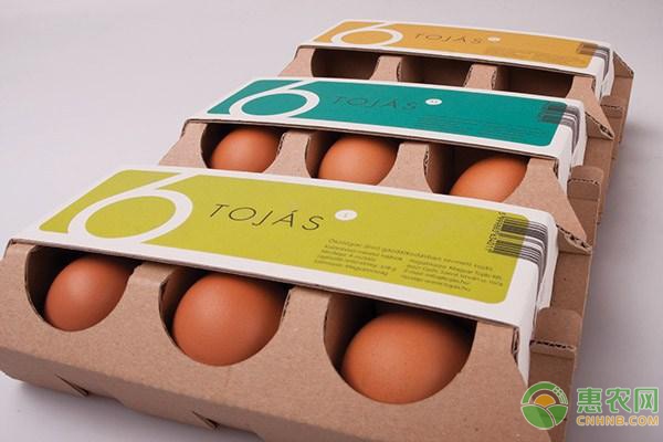 天麻人工有性繁殖技术：从菌材培育到采收加工全解析-绿源新宇生物有机肥官网