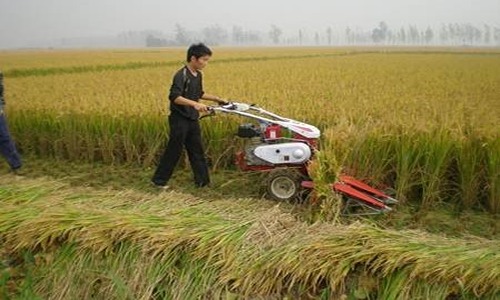 割晒机普及遇冷，价格与体积成关键制约因素-绿源新宇生物有机肥