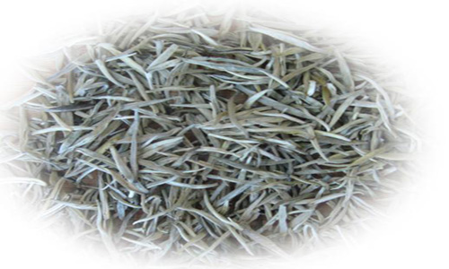 白毫茶为何深受茶友追捧，收购热潮背后的品质价值-绿源新宇生物