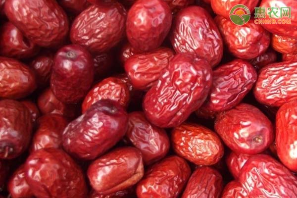 十月冰糖柑大量上市 果农迎来丰收季-绿源新宇生物有机肥官网 十月冰糖柑大量上市 果农迎来丰收季-绿源新宇生物有机肥官网