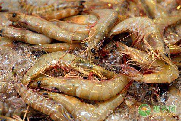 网上批发割晒机助力农业机械化发展-绿源新宇生物有机肥官网