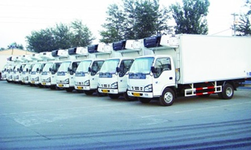 冷链物流如何破解农产品运输难题，降低果蔬损耗率-绿源新宇生物