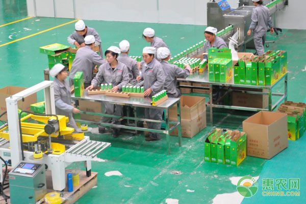 在中国农产品交易网上批发桂圆干 何愁销量 在中国农产品交易网上批发桂圆干 何愁销量