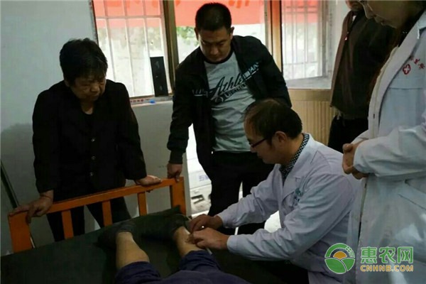 批发冰糖柑也可以走出致富之道 批发冰糖柑也可以走出致富之道