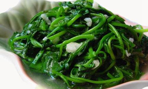 木耳菜的作用与功效