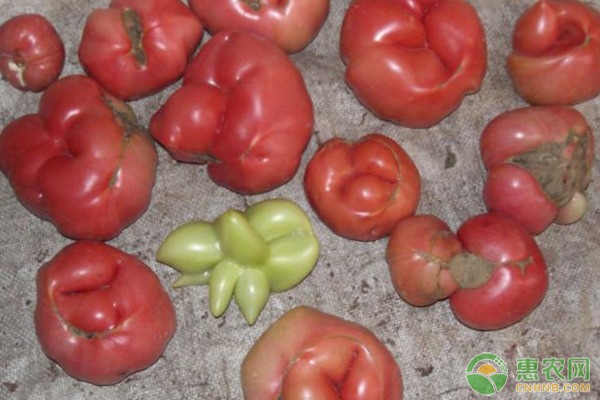 冬季割晒机保养关键在于安全检查-绿源新宇生物有机肥官网