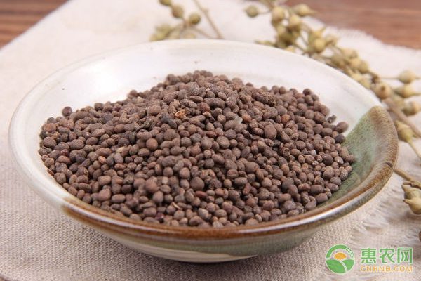 冰糖柑农超对接模式助力销量提升-绿源新宇生物有机肥官网