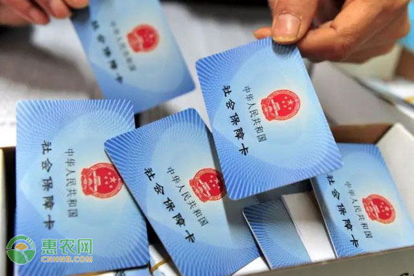 兰州元旦春节前夕启动平价肉投放 稳定肉价保障民生-绿源新宇生物有机肥官网