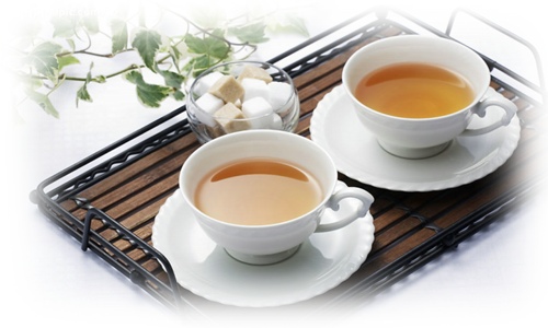 提升品质增强竞争力 白毫茶助力茶农增收-绿源新宇生物有机肥官 提升品质增强竞争力 白毫茶助力茶农增收-绿源新宇生物有机肥官
