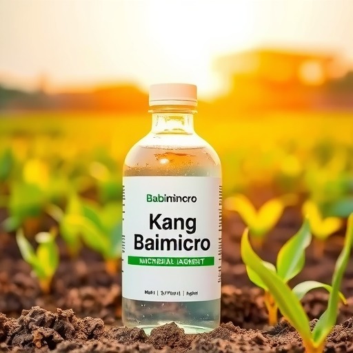 微生物菌剂-康佰微-山东阿里云农业科技有限公司