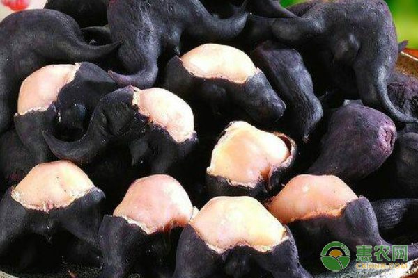 冬季农产品批发如何应对天气影响？-绿源新宇生物有机肥官网