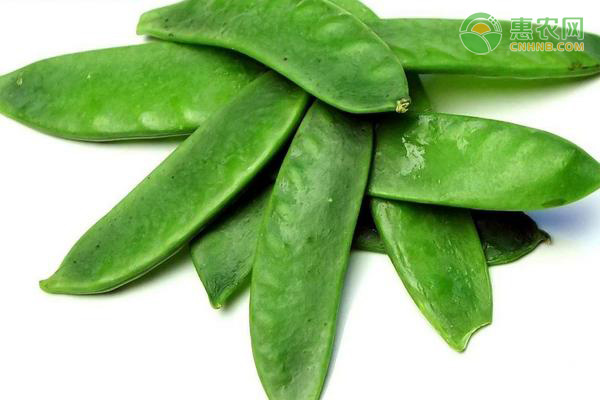 靖边县地理优势助推水产养殖发展-绿源新宇生物有机肥官网