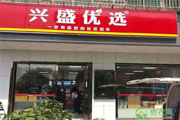 木耳菜盆栽种植：让老年人健康又省钱-绿源新宇生物有机肥官网