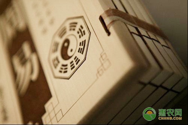 年轻女孩郑丽琴返乡创业深耕农业减少中间环节-绿源新宇生物有机肥官网