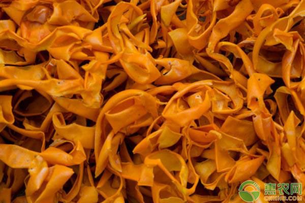 木耳菜价格下跌成因分析：供需关系与季节因素影响-绿源新宇生物有机肥官网