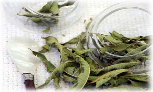 茶价与品质的关联性解析-绿源新宇生物有机肥官网 茶价与品质的关联性解析-绿源新宇生物有机肥官网