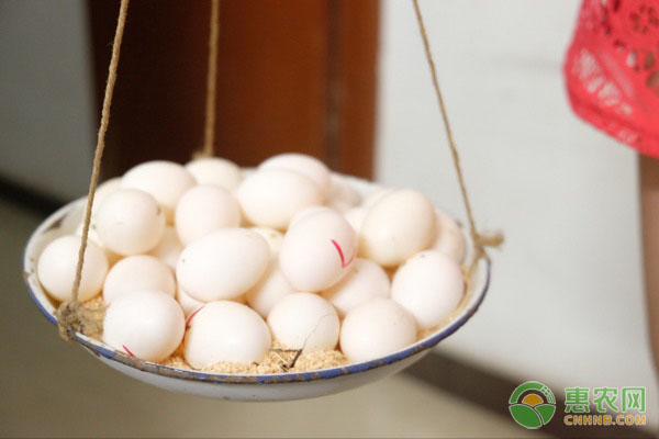 阴雨天气对冰糖柑腐烂影响及储存销售策略-绿源新宇生物有机肥官网