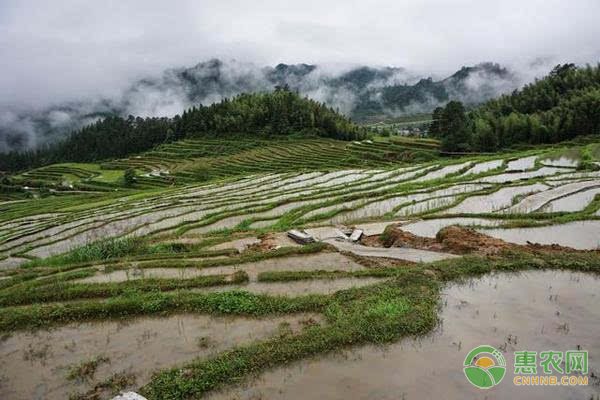 阳信肉牛产业逆势增长 产业链延伸成价格高地-绿源新宇生物有机肥官网