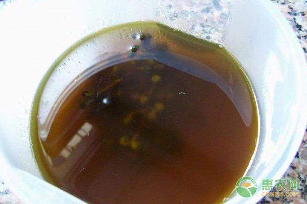 冬季冰糖柑市场旺 销售旺季与网购平台助力-绿源新宇生物有机肥官网