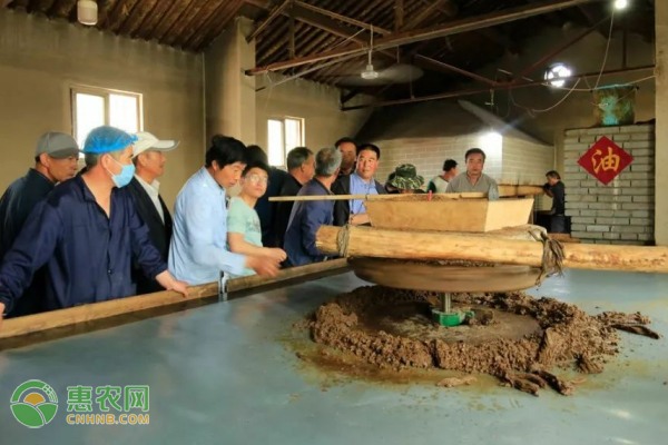 全面提升河蟹养殖综合品质的关键途径-绿源新宇生物有机肥官网