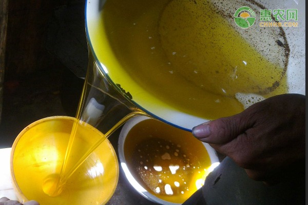 福建农产业白毫茶绿色生态发展路径-绿源新宇生物有机肥官网